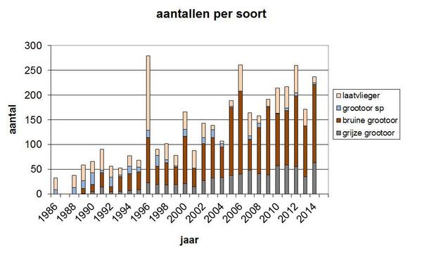 JanBuys1's tweet photo. Record aantal (grijze) #grootoorvleermuizen op kerkzolders N+M Limburg: zie //buysblog.buys-van-nature.nl/#post73 http://t.co/uU8NO0eQyh