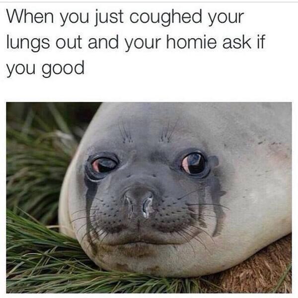 Fatty Jay (@fattyjaydesigns) on Twitter photo 