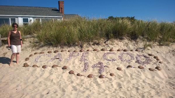 rroscoe13's tweet photo. Was down the Cape for 2 days, beautiful weather. Went swimming in the ocean! #VG3Rday http://t.co/McdFNaw10A