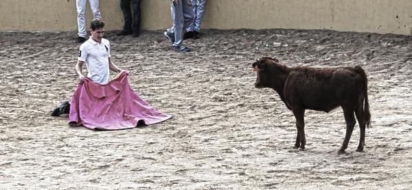 unicapeas's tweet photo. Los mejores toreros de la Gran Capea Universitaria http://t.co/hba1c92gLW