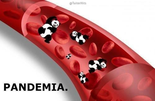 amaia49's tweet photo. "@TuiterHits: PANDEMIA http://t.co/ob77FB2bt5" @naiagi @nereaal3 missing you!