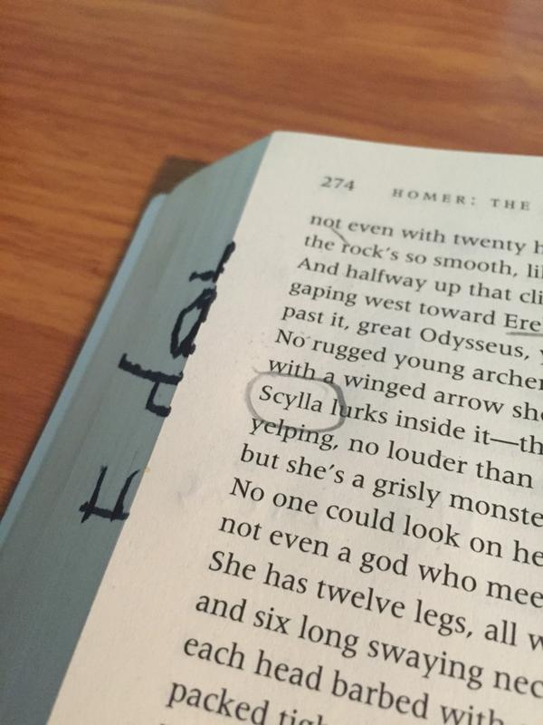 ittai_eden's tweet photo. When you're doing homework and this pops up #prisonbreaksquad http://t.co/D5ekEIqokh