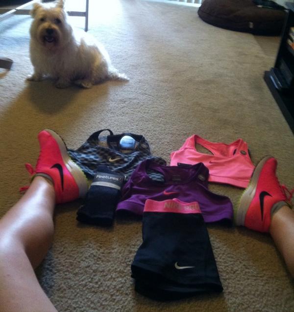 danamlln's tweet photo. So many good reasons to go home #mydog #nike http://t.co/aYJhtGYSuN