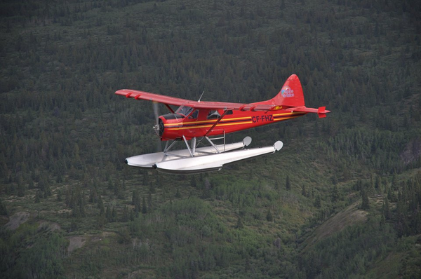 CallYukon tweet picture