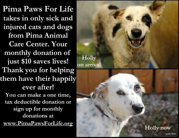 Dawnsnake's tweet photo. @cityoftucsonaz @cityoftucson @300113 @dogs @PimaPawsForLife @PetsPage @TucsonMeetYrslf @MISHAC17 $10 a month saves http://t.co/G9OYiILpQu
