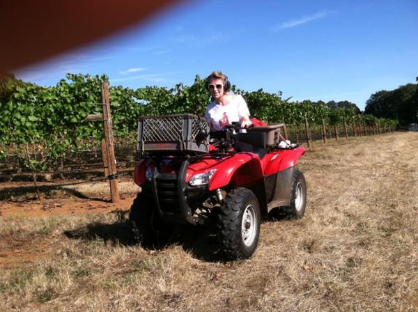 Quick turns on the 4-wheeler, <a href="/LeslieBradshaw/">Leslie Bradshaw 🐢</a> is on bird patrol for #harvest14.