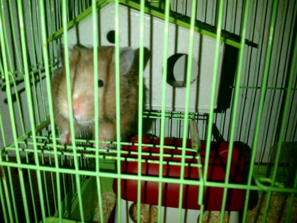fredaviera tweet picture