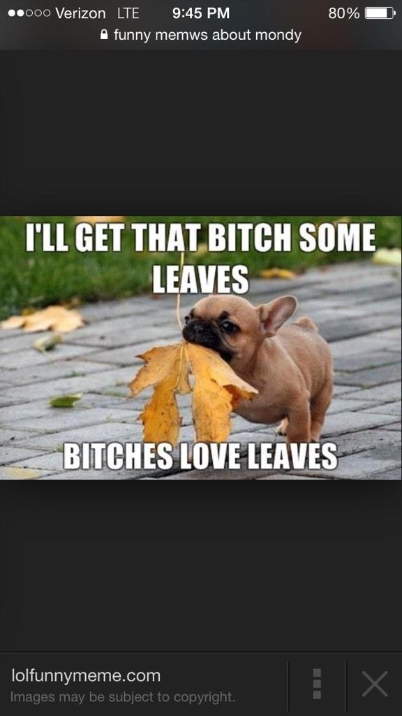 terms_of_dating's tweet photo. Guys get on the fall kick for your girl #cuffinseason2014 #pumpkinspicelattes http://t.co/g1WUt2TGye
