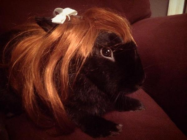 Nochebun's tweet photo. Yes, I did change my hairstyle. Thank you for noticing. http://t.co/ASyWMK6M1B