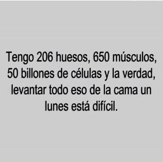 MdcnCabreada's tweet photo. CUESTA LEVANTARSE LOS LUNES. http://t.co/n3qdyiAGgO