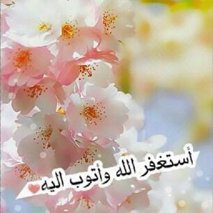 ForPromis tweet picture