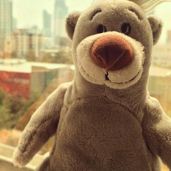 Embedded image permalink