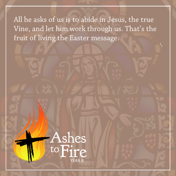 From a devotional reading in #AshesToFire, Year B