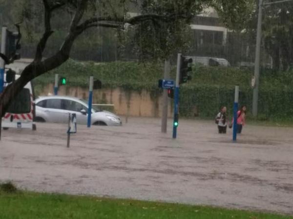 Montpellier