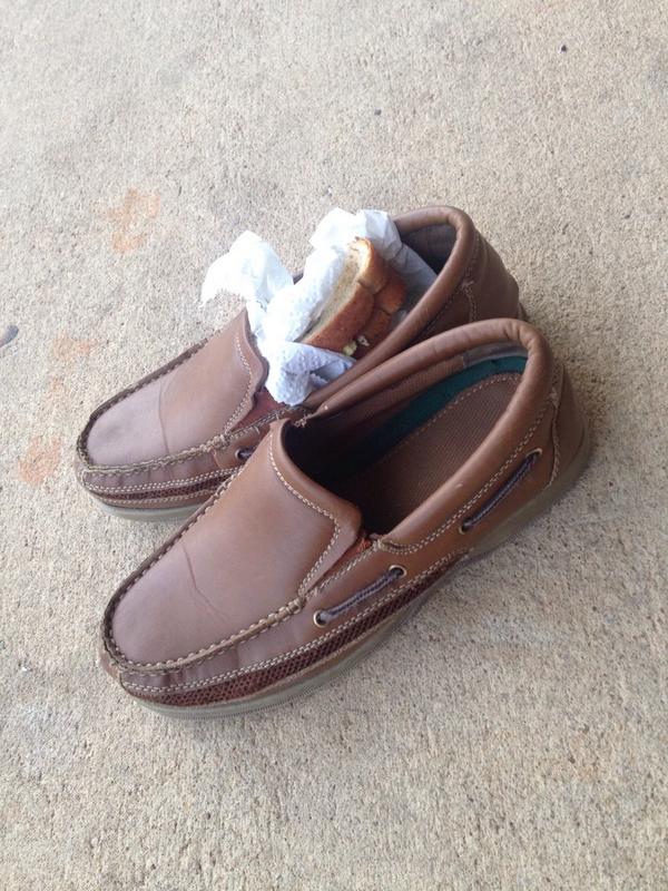 J_wood_E's tweet photo. So I came to school this morning to find a pair of loafers with a half eaten sandwich in them #TheThompsonDifference http://t.co/NvJkwtTDpp