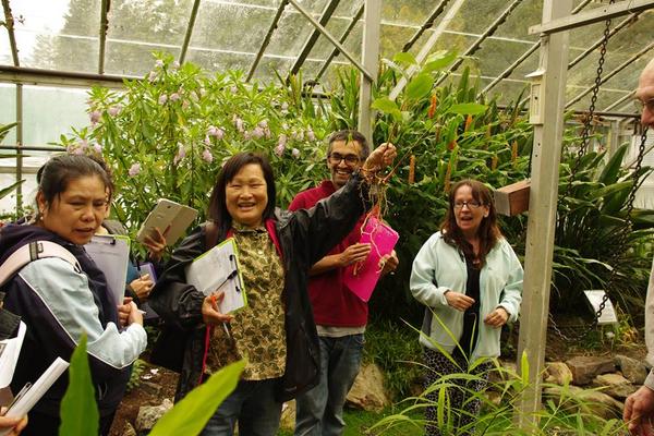 HYousofi's tweet photo. A dream come real to teach a #workshop at Treborth Botanical Gardens with @NWRENinfo - learning all about ginger here http://t.co/hWZiCrncA0