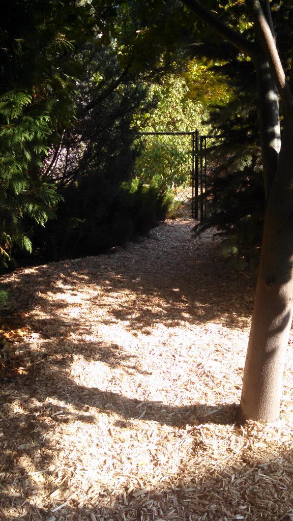 RPArchitecture's tweet image. Some like a golf course lawn, I prefer the magic of the secret forest. #anotherproject #landscape #architect