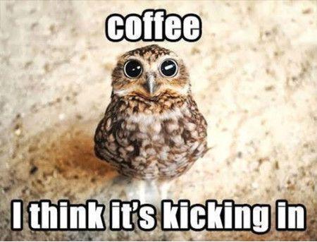 HannoverKaffee's tweet photo. “@ViewLondon :) | Happy #InternationalCoffeeDay! This is how we are feeling during our Monday morning fuel... http://t.co/5q2lXVGlyC” Right!