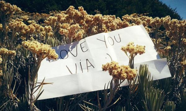 14jam cuma bisa foto ini di mt gede"surya kencana"