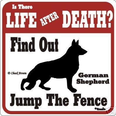 RDSchoolForDogs tweet picture