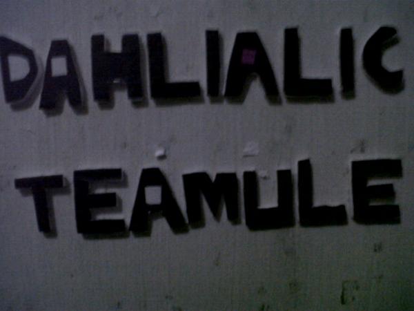 DAHLIALIC_'s tweet photo. #DAHLIALIC #TeamUle @dahliapoland http://t.co/4uhHjL0Wr9