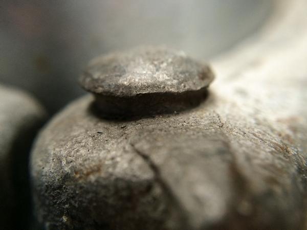 RyanRemaker's tweet image. Bolt on scaffold. #photography #NYC #macrophotography #macro