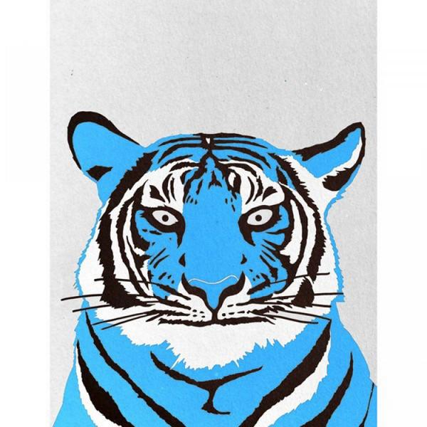 Grrrrrr! #tigerprint! #crunk #swedishhousemafiaareshit