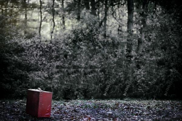 aftfotograf's tweet photo. http://t.co/Re2JLsRsmh