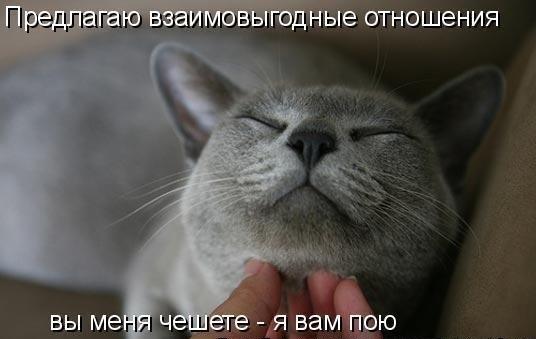 mnetSand's tweet image. #котики #ЧитаюВзаимно