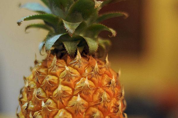 muyenforma's tweet image. Propiedades de la piña: rica en vitaminas y minerales, diurética y baja en calorías ➜ muyenforma.com/propiedades-de… #salud