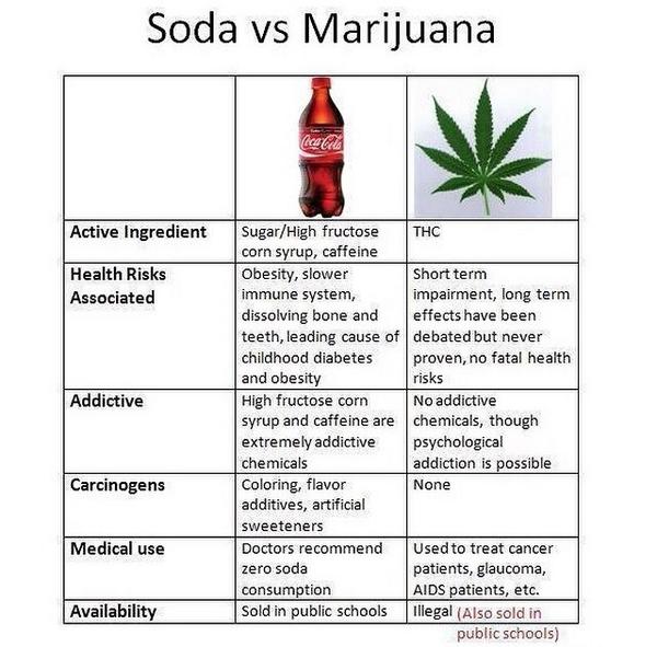 2ModDayHippies's tweet photo. GoodMorning fellow stoners. Here is a bit of information. #KeepItLit http://t.co/oXTYMaFZkR