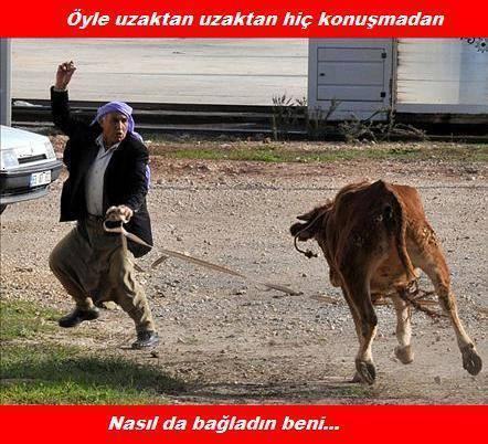 incicaps's tweet photo. asdlkşjsdşfkljkladsklsjdklfasd http://t.co/0B4cOnyB4h