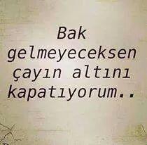 yesilcan's tweet photo. #siirsokakta #siirheryerde #CemalSuereya #siirservisde #eskisehir http://t.co/iGYgaMItyH