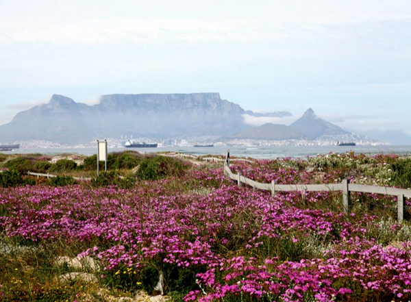 Attention walkers! We will be meeting up on the grass in front of Eden on the Bay on Wed, 7am sharp! #WTD2014