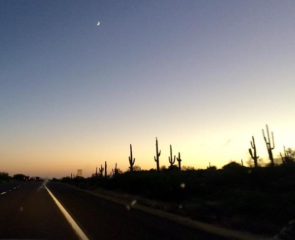 meadowbailey's tweet image. This week I&apos;m trading the Aurora Borealis for saguaro cactus! #transcomm