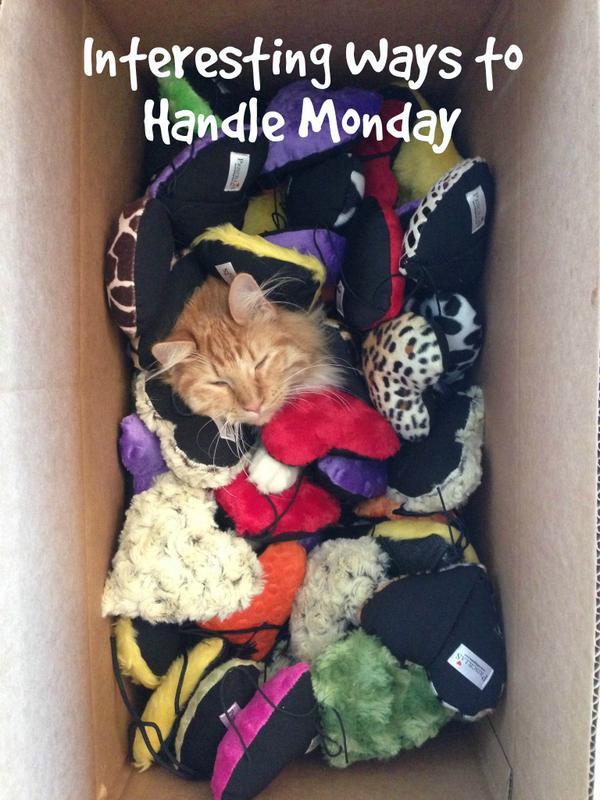 kittygrass's tweet photo. Cat Tip: Reduce Stress by Hiding in Your Toys #kittygrass #cats #CatsOfTwitter #catsofinstagram http://t.co/U1MZbjEa7m