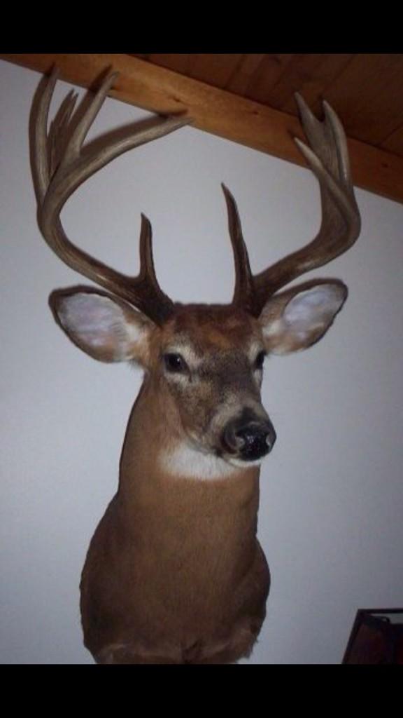 FanionBrandon's tweet photo. This guy needs some company, opening day Wednesday #G5 http://t.co/Dd1fTcimlQ