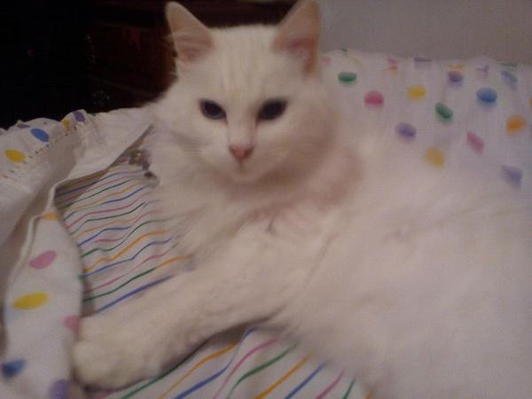 solsamore's tweet photo. Te voy a Extrañar toda La Vida!!!! http://t.co/WCXBqiULBN