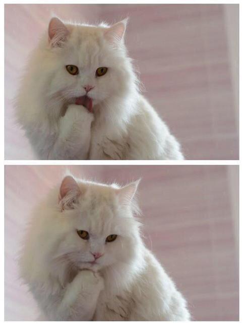 KingBach's tweet photo. When bae looks at me she be like http://t.co/00IHDq1B6k