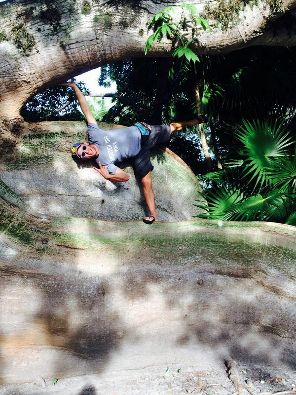 SpottedDogYoga's tweet image. #SDY in Miami! #yoga in a #cooltree