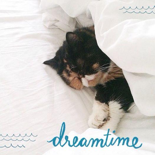 Embedded image permalink