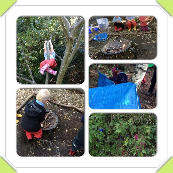 St_GeorgesCPS's tweet photo. If you went down to the woods today... #forestschool #sncg http://t.co/WbwaiwWyEs