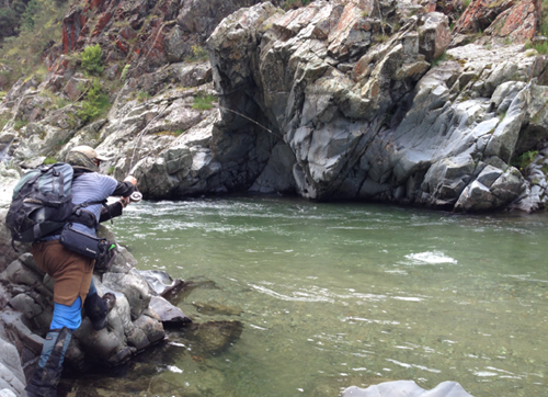 HookMad's tweet photo. Mate hooked into a beatutiful Opihi Gorge trout. Love New Zealand fishing! #flyfishing #backcountry #fishing #hookmad http://t.co/sQvZlBp5Zr