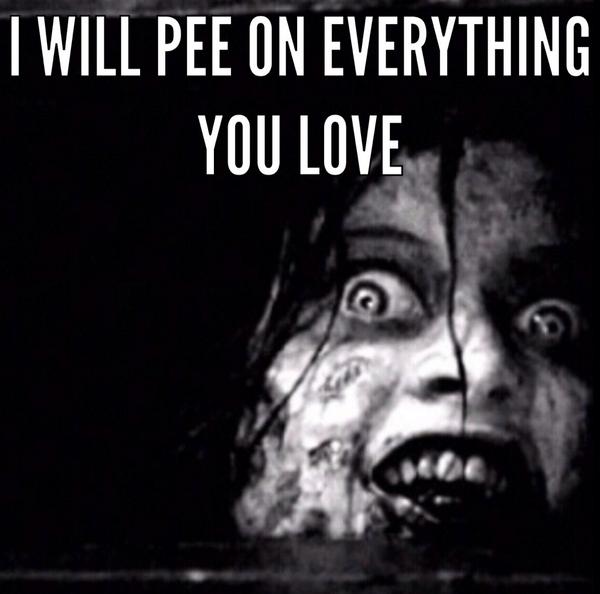 James__Barnes__'s tweet image. 