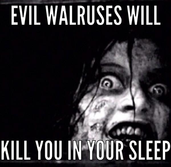 James__Barnes__'s tweet image. 