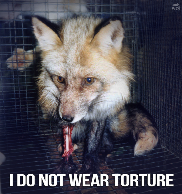 PETAUK's tweet photo. Animals deserve to live free from cruelty and exploitation. Wearing fur is unnecessary and inhumane. 

Choose compassion, say NO to the fur industry. #FurFreeFashion 

https://t.co/eXAqGNU4kF