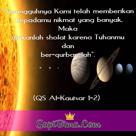 SapiBimaCom tweet picture