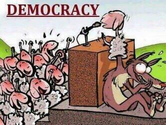 Defennsor's tweet image. Brasileiros iludidos nas eleições...