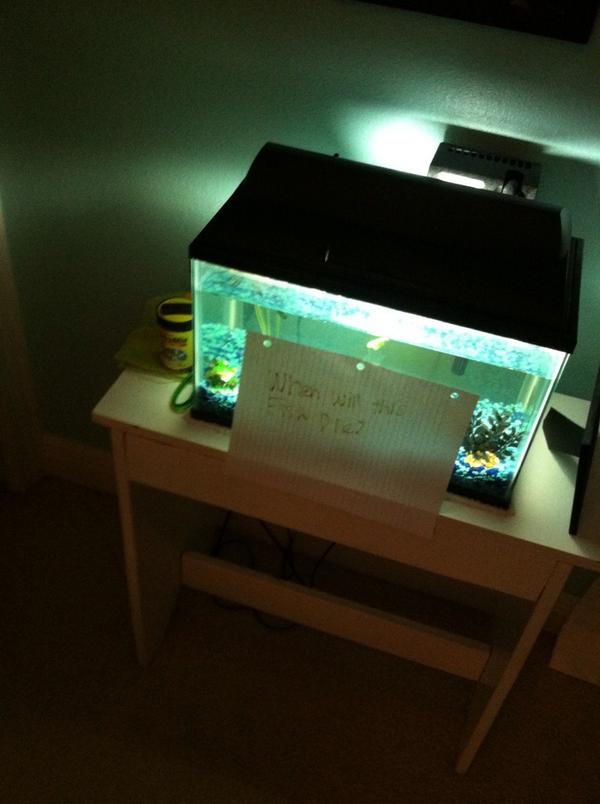 macee23's tweet photo. surprised by Sel πππ #bestpresentyet http://t.co/LnEjAK4Km0