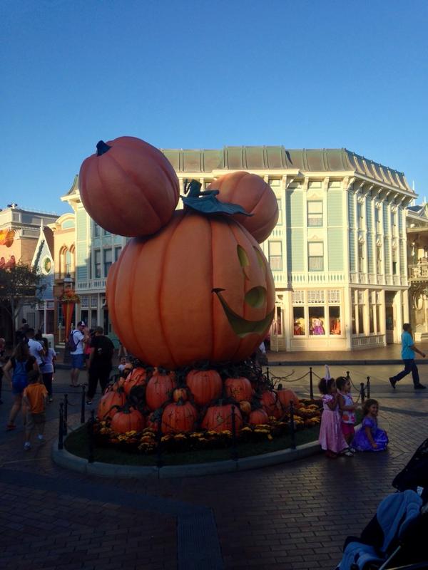 MouseFever_com tweet picture